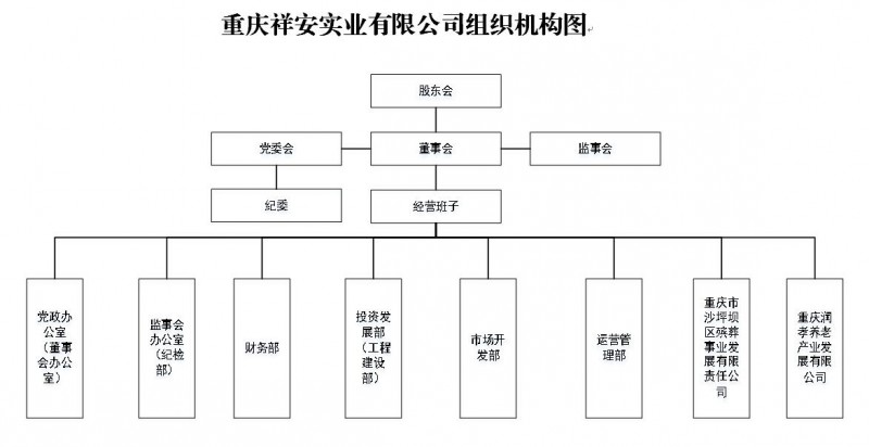 祥安公司-组织架构.png